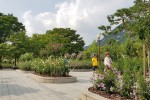 무궁화동산 (1).jpg